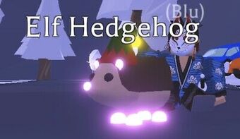 Hedgehog Adopt Me Wiki Fandom - halloween adopt me roblox adoption elf pets hedgehog pet