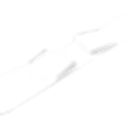 The White Snowboard in a player's inventory.