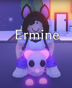 Ermine, Trade Roblox Adopt Me Items