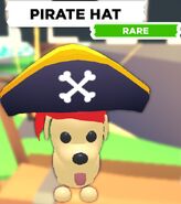 Pirate Hat on a Dog