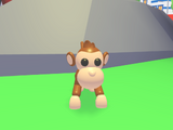 Monkey