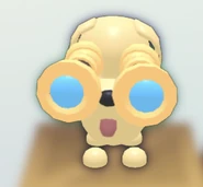 Spyglass Glasses on a Dog.png (180 KB) The Spyglass Glasses on a Dog.