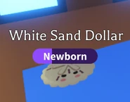 The White Sand Dollar in-game.