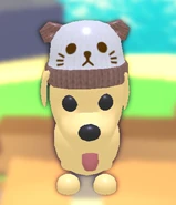 The Bear Winter Hat on a Dog.