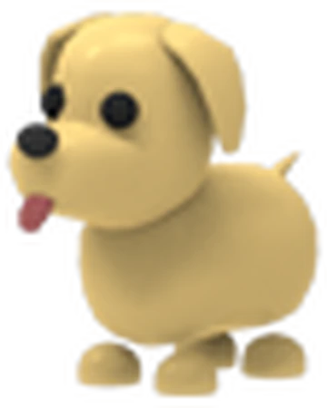 dogs to adopt around me