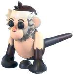 Capuchin Monkey