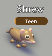 Shrew in-game