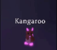Mega Neon Kangaroo