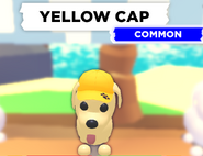 AM yellow cap