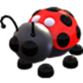 Ladybug