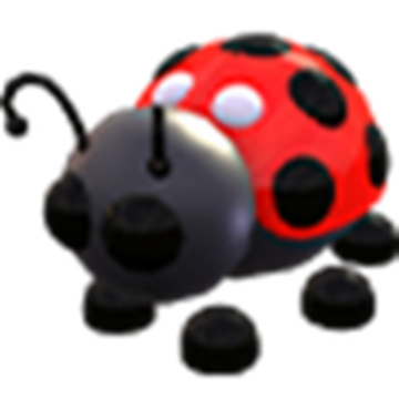 Dgsufnflpwvjmm What a brilliant idea to bring adopt me pets to life. https adoptme fandom com wiki ladybug