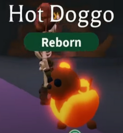 Hot Doggo, Adopt Me! Wiki