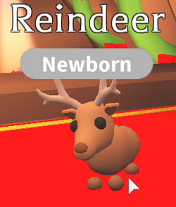 Reindeer Adopt Me Wiki Fandom - where are the 6 reindeers growing up roblox