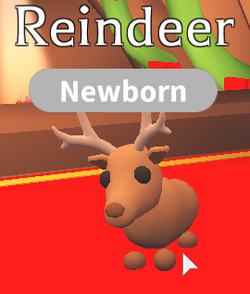 Reindeer, Adopt Me! Wiki