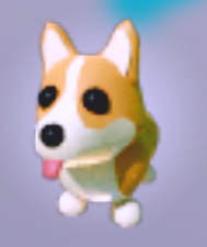 um.. 😊 #adortheo #adoptme #preppyadoptme #adoptmeroblox #starpets #st, royal corgi adopt me