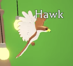 Adopt Me Hawk Pet name ideas list - Android Gram