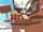 Puffin