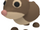 Shrew