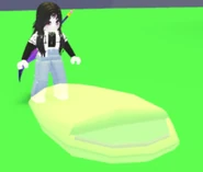 The Sleeping Bag before placing.