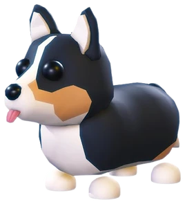 Royal Corgi | Adopt Me! Wiki | Fandom