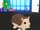 Hedgehog