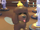 Irish Water Spaniel
