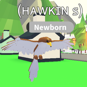 Hawk, Trade Roblox Adopt Me Items