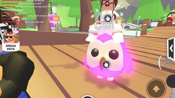 Owl Adopt Me Wiki Fandom - details about roblox adopt me rideable flyable neon owl