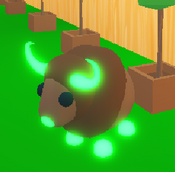 Neon Buffalo