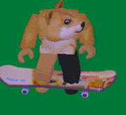 A player riding the Doge Skateboard