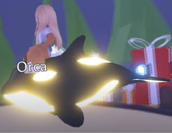 Get Pomeranian and Orca in Adopt Me