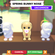 Spring Bunny Nose on a Dog
