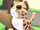 Leopard Cat