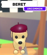 The Beret as seen on a Dog.