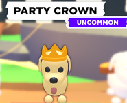 The Party Crown on a Dog.