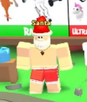 Santa Summer Outfit