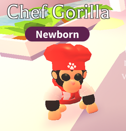 https://static.wikia.nocookie.net/adoptme/images/4/44/The_Chef_Gorilla_in-game.png/revision/latest/scale-to-width-down/250?cb=20230316183533