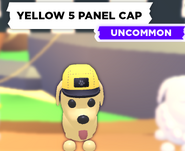 AM Yellow 5 Panel Cap