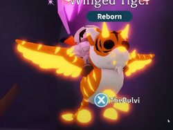 Winged Tiger, Adopt Me! Wiki