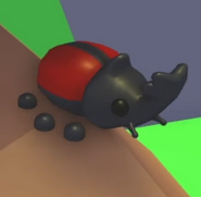 A teaser image of the Rhino Beetle.