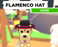 The Flamenco Hat as seen on a Dog.