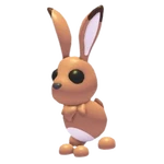 Hare