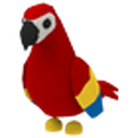 birds to adopt near me