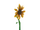 Sunflower Rattle