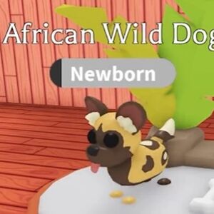 Discuss Everything About Adopt Me Wiki Fandom