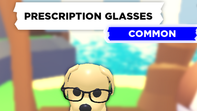 Prescription glasses wiki outlet