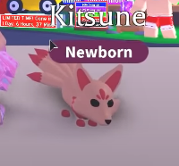 Kitsune, Adopt Me! Wiki