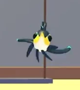 Black Marlin teaser.png (18 KB) The teaser image of the Black Marlin.