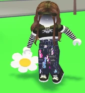 A player holding the Daisy Flying Disc.