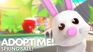 The Bunny on Adopt Me!'s thumbnail for the Spring Sale! update.